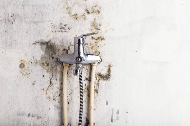 Best Mold Removal Company Near Me  in Strasburg, CO