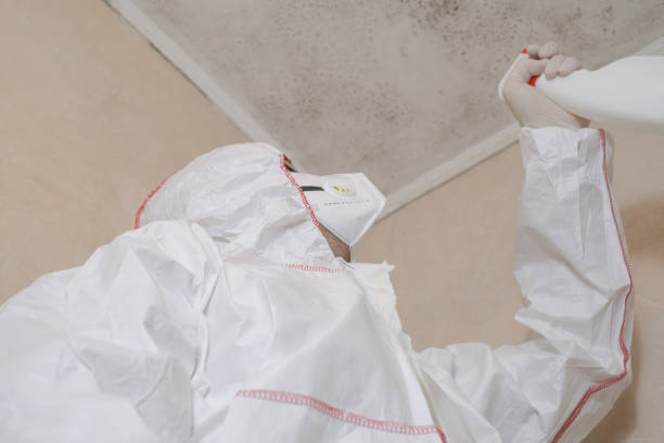 Mold Removal Process in Strasburg, CO