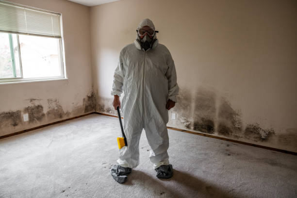 Best Toxic Mold Removal  in Strasburg, CO